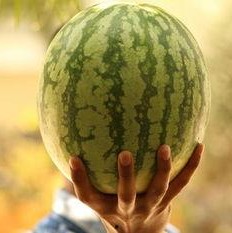 最近大瓜事件,揭秘明星隐私风波背后的真相