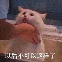 朝阳吃瓜群众一枚,揭秘京城街头巷尾的热辣话题