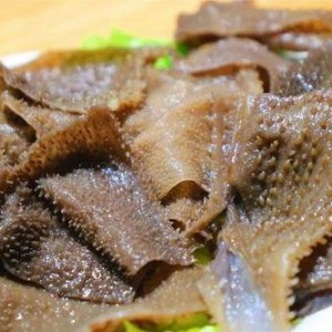 抖音网红大鹅,萌态可掬，圈粉无数